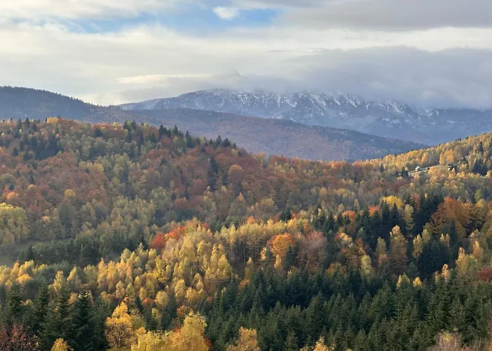 Villa Babiogorski Azyl & *